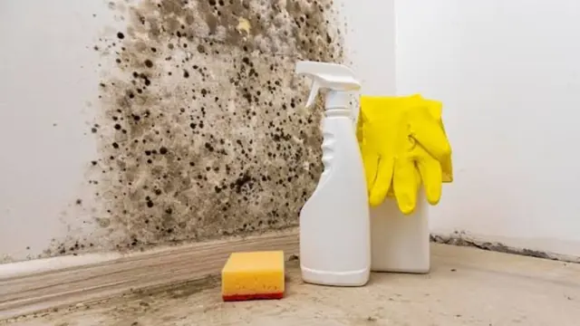 Mold on a corner wall with cleaning spray, gloves and a sponge on the floor